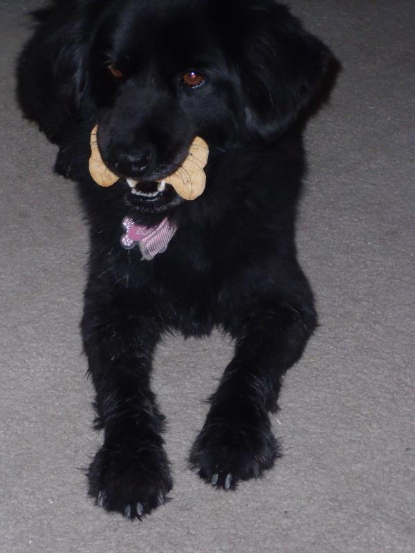 /Images/uploads/Humane Society of Utah/HSUCalendar/entries/891thumb.jpg